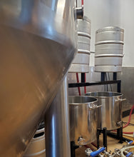Load image into Gallery viewer, CIP System with Integrated Keg Washer
